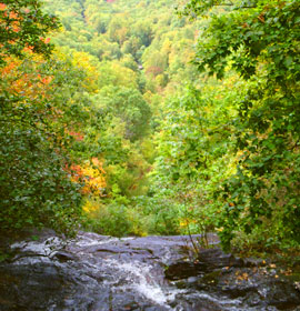 3 Falls at Anna Ruby Falls