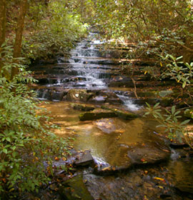 Angel Panther Falls