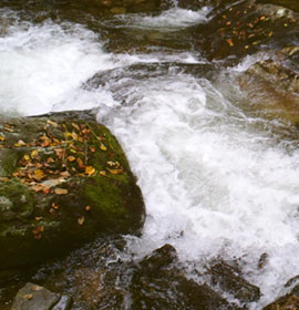 3 Falls at Anna Ruby Falls