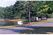 Lake Lanier Bald Ridge Creek Park