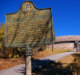 Brasstown Bald Marker