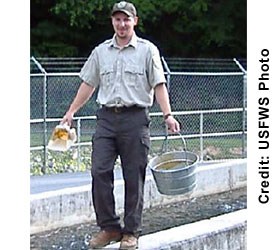 Feeding trout at the Chattahoochee Forest Fish Hatchery