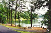 Clark Creek Campground at Allatoona Lake