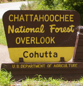 Cohutta Overlook