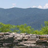 Cohutta Forest Overlook