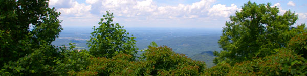 Chattahoochee-Cohutta Scenic Overlook