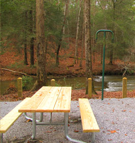 Cooper Creek Campground Campsite