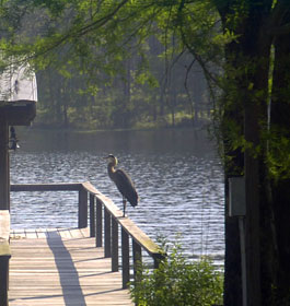 Lake Seminole