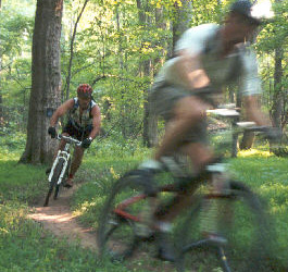 Biking on Dauset Trails