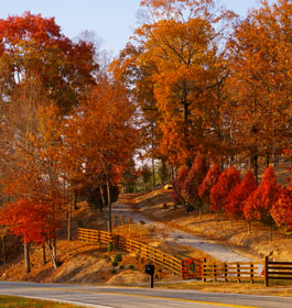 Scenic fall driving tour