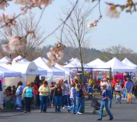 Festival at Georgia International Horse Park