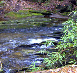 Fowing GA River