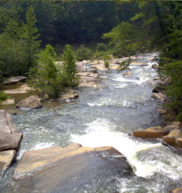 Fishing at GA U.S. Forest