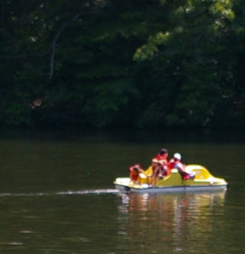 Paddle boats at Fort Mountain State Park