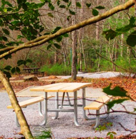 Picnic area in Georgia U.S. forest