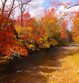 Chattahoochee River in fall