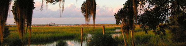 Georgia coast in evening