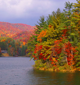 Georgia Mountain Wilderness