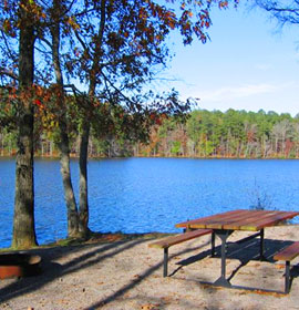 Picnic by the lake at Hamburg State Park