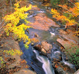 Flowing creek at Hard Labor Creek State Park