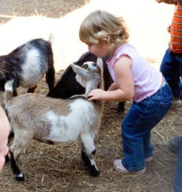 Fun at Hillcrest Orchards