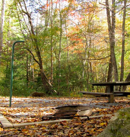 Jacks River Fields Campground Campsite