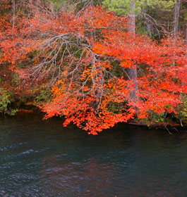 Georgia Lake