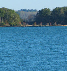 Georgia lake