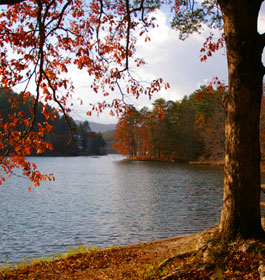 Georgia Lake