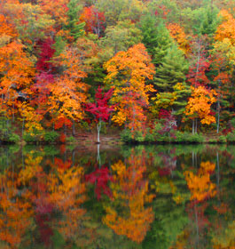 Lake Winfield Scott in fall