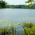 Scenic lake at Laura S Walker State Park