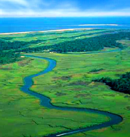 Little St. Simons Island