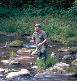 Fishing at Low Gap Campground