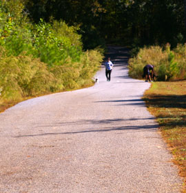 McDaniel Farm Park Trail