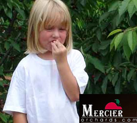 Mercier Orchards