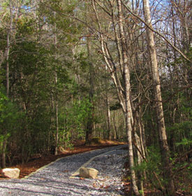 Mulky Campsite entrance