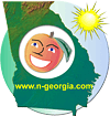 N-Georgia.com