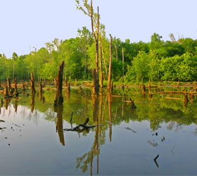 Lake at New Echota Historic Site