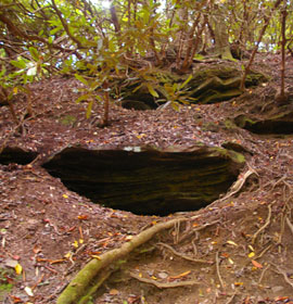 Bear Cave on tril to Panther Falls