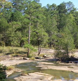 Piedmont NWR scenic area