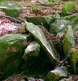 Piedmont NWR rocky area