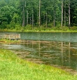 Piedmont NWR lake