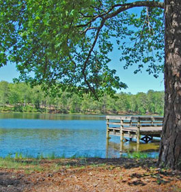 Lake at R.D. Roosevelt State Park