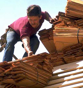 Roofer