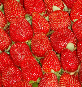 Strawberries