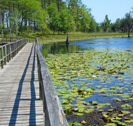 Fishing Pier at Seminole Lake