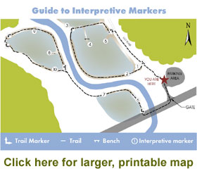 Spring Creek Wetlands Preserve Trails Map