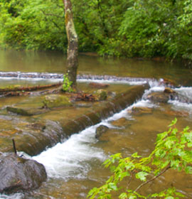 Falls at Unicoi State Park