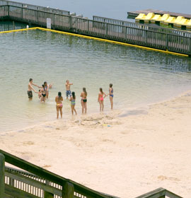 Unicoi State Park Beach