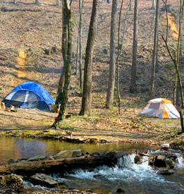 Camping at Upper Chattahoochee River Campground